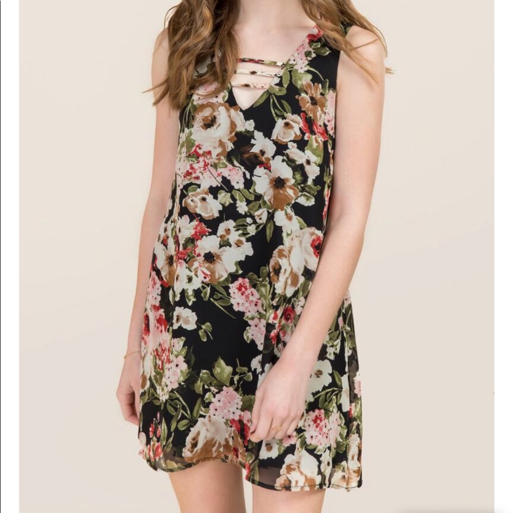 Size large britta shift dress